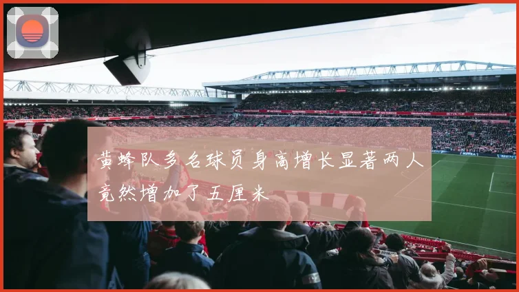 黄蜂队多名球员身高增长显著两人竟然增加了五厘米